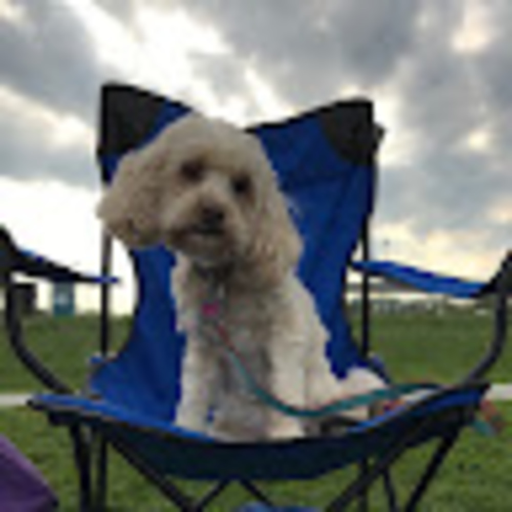 Meet your Posher, Kathy